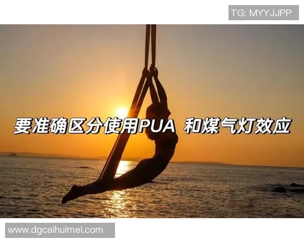 深入探讨杭州排球队节奏表现的数据分析与战术优化策略