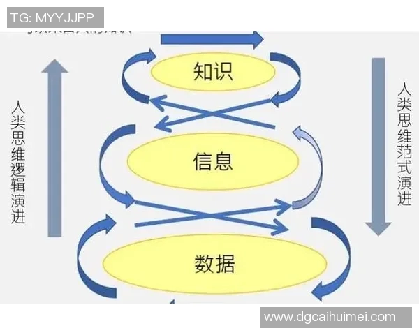 深入探讨北京排球队实力表现的关键数据分析与趋势解读
