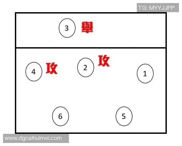 深圳排球队进攻战术深度解析与实战应用探讨