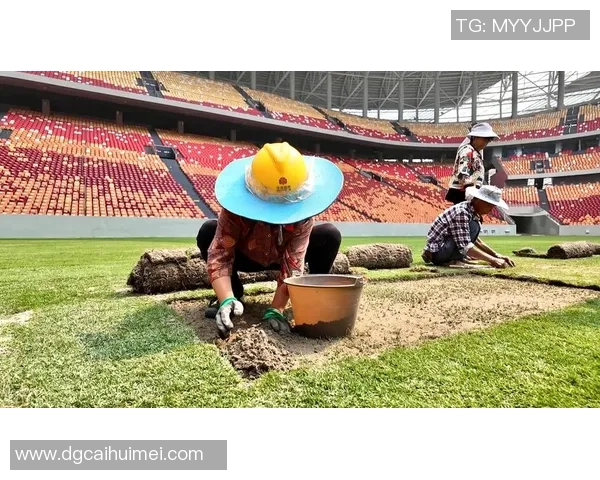 重庆足球队实力变革引发热议球迷期待新篇章的崛起与挑战 重庆足球队实力变革引发热议球迷期待新篇章的崛起与挑战