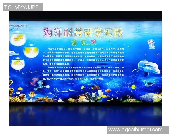 科学王者荣耀：探索力量训练的有效方法与实践技巧