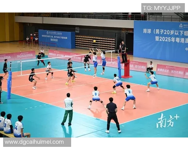 赵静的排球生涯回顾与展望：从赛场到人生的精彩对话