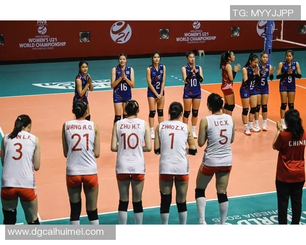 广州排球队的节奏探讨与发展之路聚焦排球运动的未来与挑战