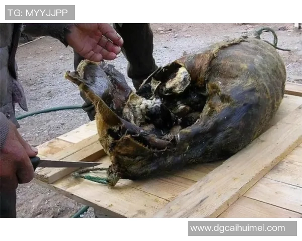 对话赵敏:回顾我的篮球生涯与成长历程分享 对话赵敏:回顾我的篮球生涯与成长历程分享