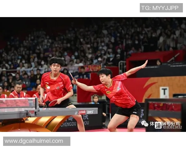 深圳乒乓球队团队协作引发热议争议背后的默契与挑战分析