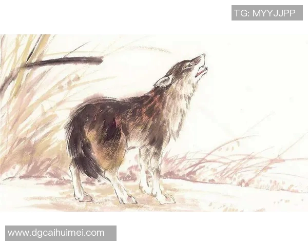 邦明与格斯特的对决：一场智慧与勇气的较量即将展开