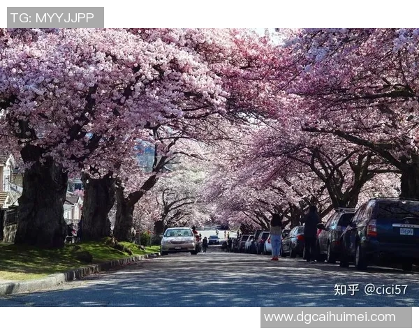 波特兰伐木与温哥华的城市魅力与文化碰撞探讨