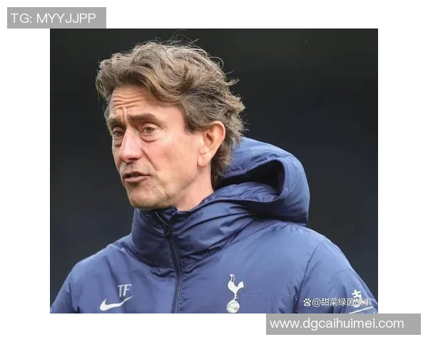 热刺迎战维拉前瞻分析双方实力对比及比赛看点全解析