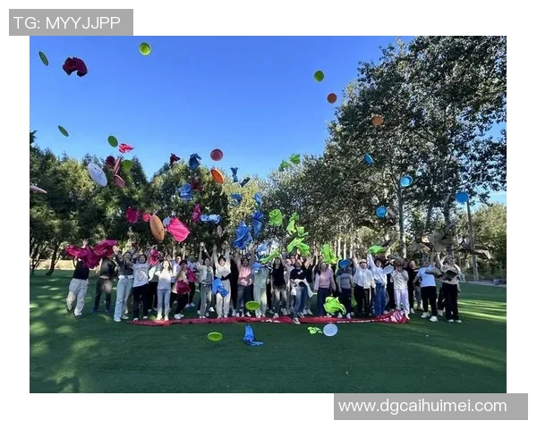 成都飞盘队的运营揭秘与发展探索深度解析MBA