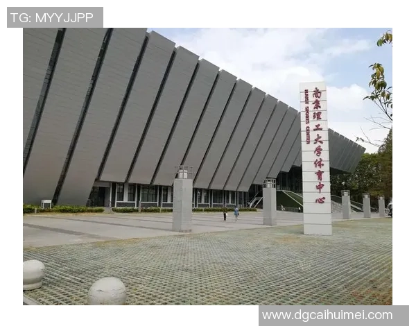 南京乒乓球队的精神风貌与发展历程探讨