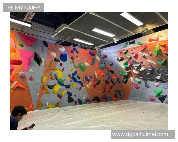 科学极限运动的个人能力提升训练方法与技巧探讨MBA 科学极限运动的个人能力提升训练方法与技巧探讨MBA