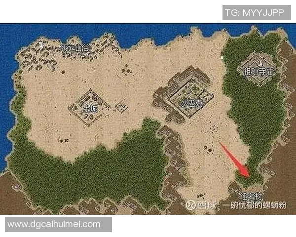 篮球明星恩施的崛起之路与他在赛场上的传奇故事