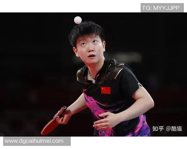 乒乓球奋斗史：杭州乒乓球队的拼搏与荣耀之路全景纪实